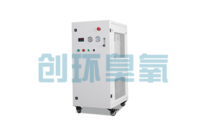 本溪比传统换水更高效？臭氧发生器在石斑鱼养殖中的水质净化原理解析
